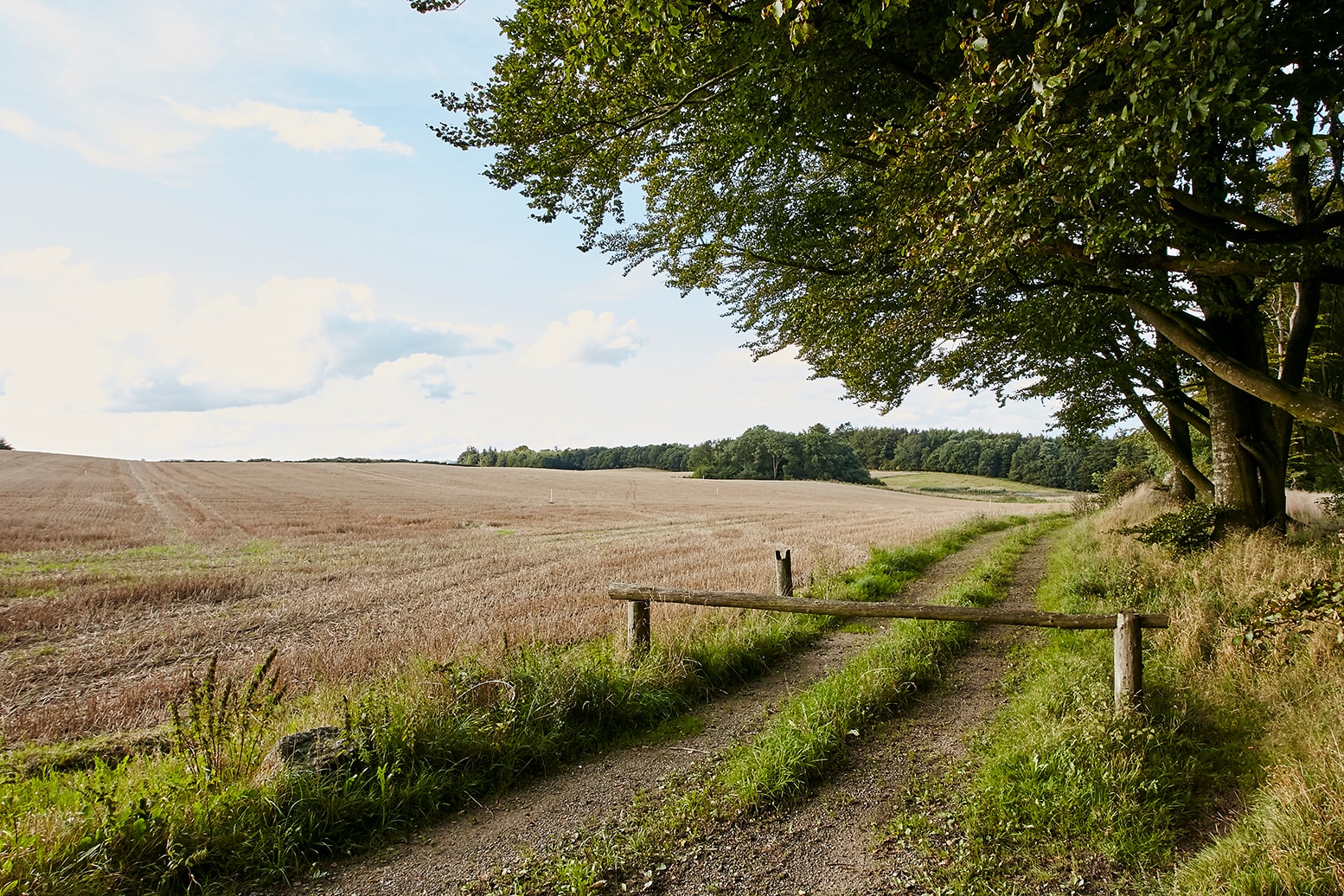 Billede af Lund Dagli'Brugs Billede af Lund Dagli'Brugs